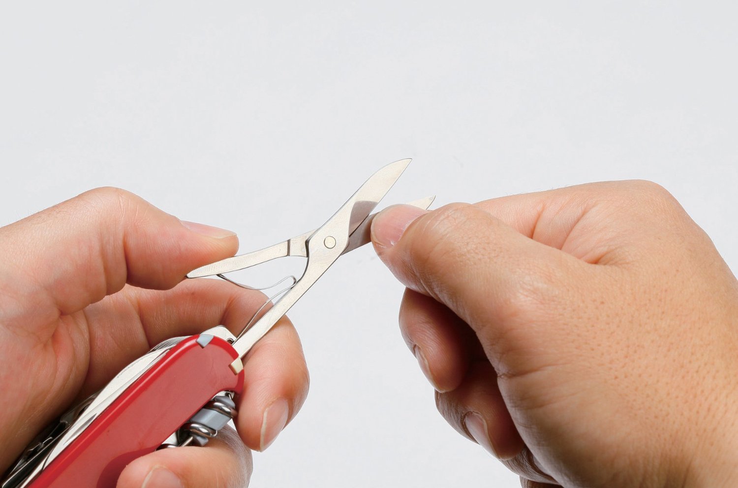 Funktion Schere groß